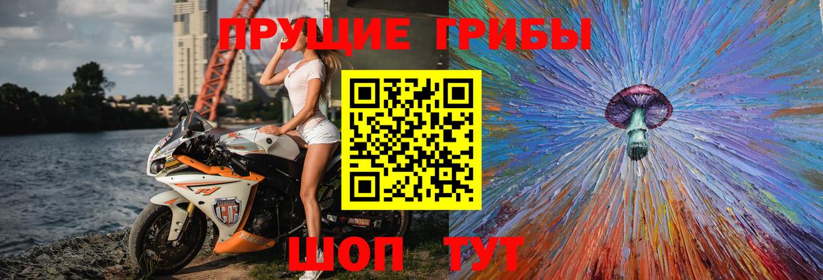 Галлюциногенные грибы MAGIC MUSHROOMS  Вход с VPN  Галлюциногенные грибы прущие грибы  наркотики  Родники 
