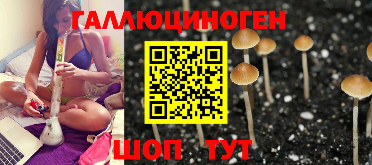 Псилоцибиновые грибы GOLDEN TEACHER Родники